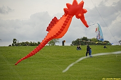 Venice kite festival_0477